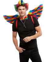 Rainbow Feather Wings for Adult