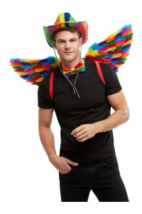Rainbow Feather Wings for Adult