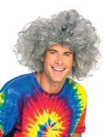Bad Hair Day Wig for Adult - Einstein
