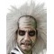 Beetlejuice Adult Wig - Accessory