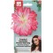 Hawaiian Flower Hair Clip