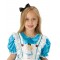 Alice In Wonderland Deluxe with Printed Border Child Costume