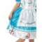 Alice In Wonderland Deluxe with Printed Border Child Costume
