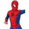 Spider-Man Deluxe Child Costume