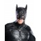 Batman Collectors Edition Black Adult Costume