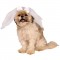 Wedding Veil Pet Halloween