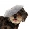 Halloween Fancy Pet Hat Accessory