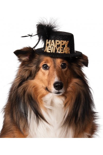 Happy New Year Pet Hat