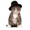 Top Hat Pet Halloween