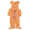 Walking Teddy Bear Animals Pet Costume