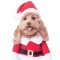 Walking Santa Deluxe Pet Costume