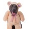 Walking Teddy Bear Animals Big Dogs Pet Costume