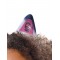 Gabby Lenticular Ears Headband