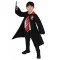 Gryffindor Robe & Child Wand Harry Potter