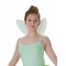 Tinker Bell Disney Fairies Tutu & Wings Teen Set