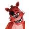 Teen Foxy Five Nights Costume