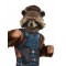 Rocket Raccoon Deluxe Child Costume Guardians of the Galaxy