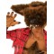 Werewolf Halloween Child Costume
