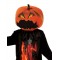 Mr Pumpkin Halloween Child Costume