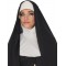 Nun Careers Adult Costume