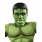 Hulk Deluxe Child Outfit