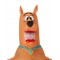 Scooby Doo Inflatable Costume for Child
