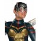 The Wasp Deluxe Women's Adult Costume