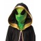 Alien Deluxe Child Costume