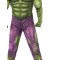 Hulk Deluxe Boy Costume