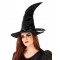 Witch Of Darkness Adult Costume