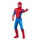 Spider-Man Deluxe Costume