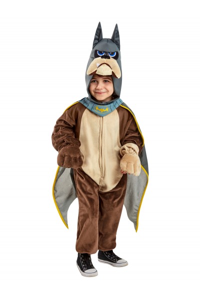 Ace Deluxe DC Super Pets Child Costume DC Comics