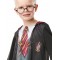 Harry Potter Photoreal Child Robe