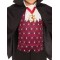 Little Vampire Child Costume