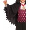 Little Vampire Child Costume