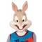 Kids Bugs Bunny Tune Squad Costume