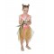 Gumnut Baby Costume with Tutu