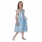 Cinderella Deluxe Sparkle Child Costume