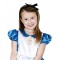 Alice In Wonderland Satin Deluxe Child Costume