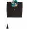 Graduation Hat for Adult