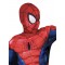 Spider-Man Deluxe Boy's Costume