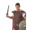 Roman Soldier Adult Costume