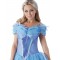 Adult Deluxe Cinderella Live Action Costume