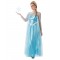 Adult Elsa Frozen Deluxe Dress