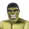 Hulk Deluxe Adult Costume