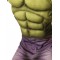Hulk Deluxe Adult Costume