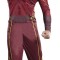 The Flash Adult Costume