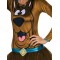 Scooby-doo Scooby Doo Female Adult Costume