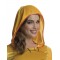 Tweety Hooded Tutu Adult Dress Looney Tunes
