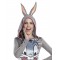 Adult Bugs Bunny Hooded Tutu Dress